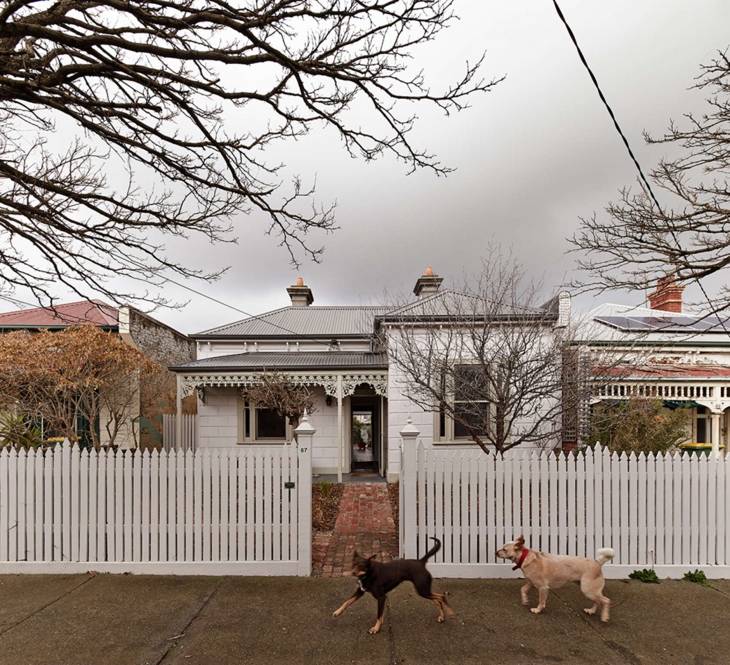 m-house-new-zealand-9