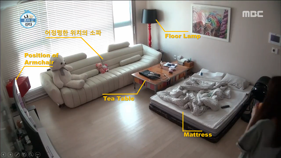 이수경 집 나혼자 산다