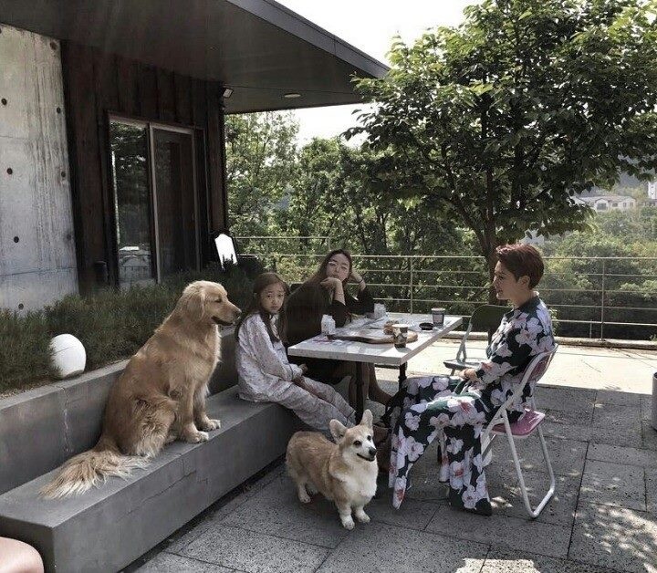 변정수 집 5