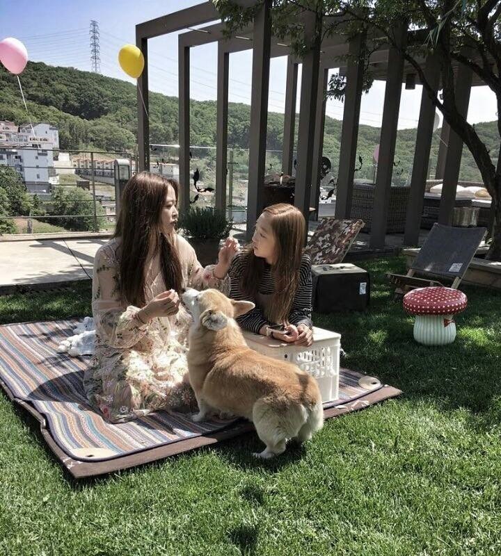 변정수 집 7