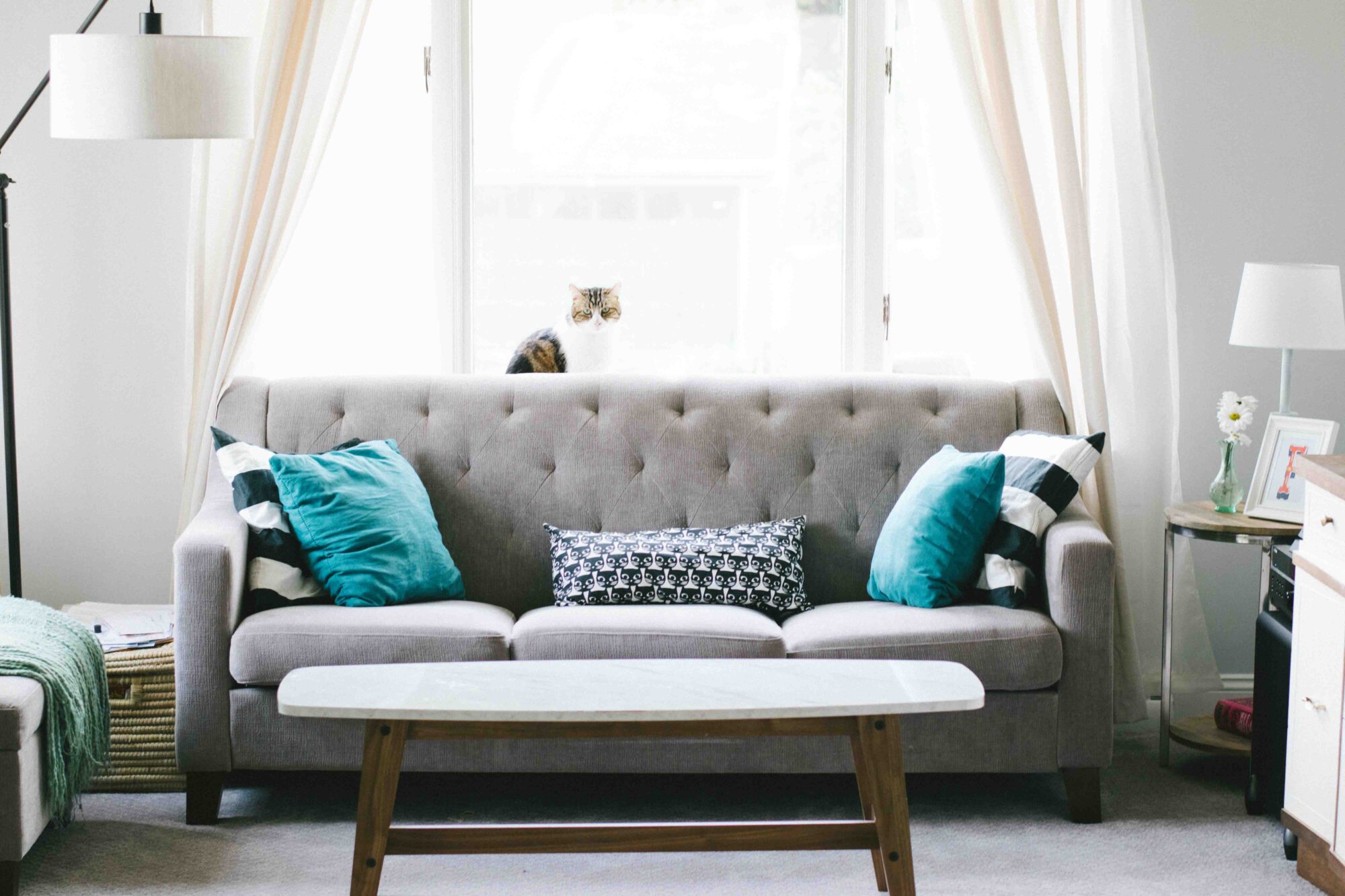 터프티드 소파 tufted sofa 2