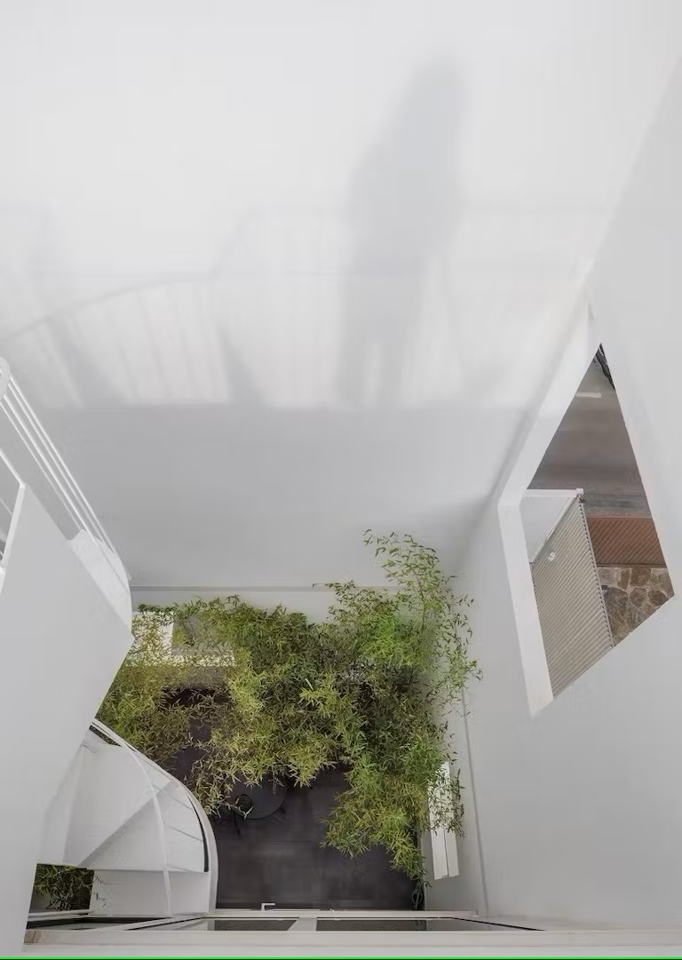 Murado Elvira Arquitectos CasaGalgo 11 scaled.jpg 11