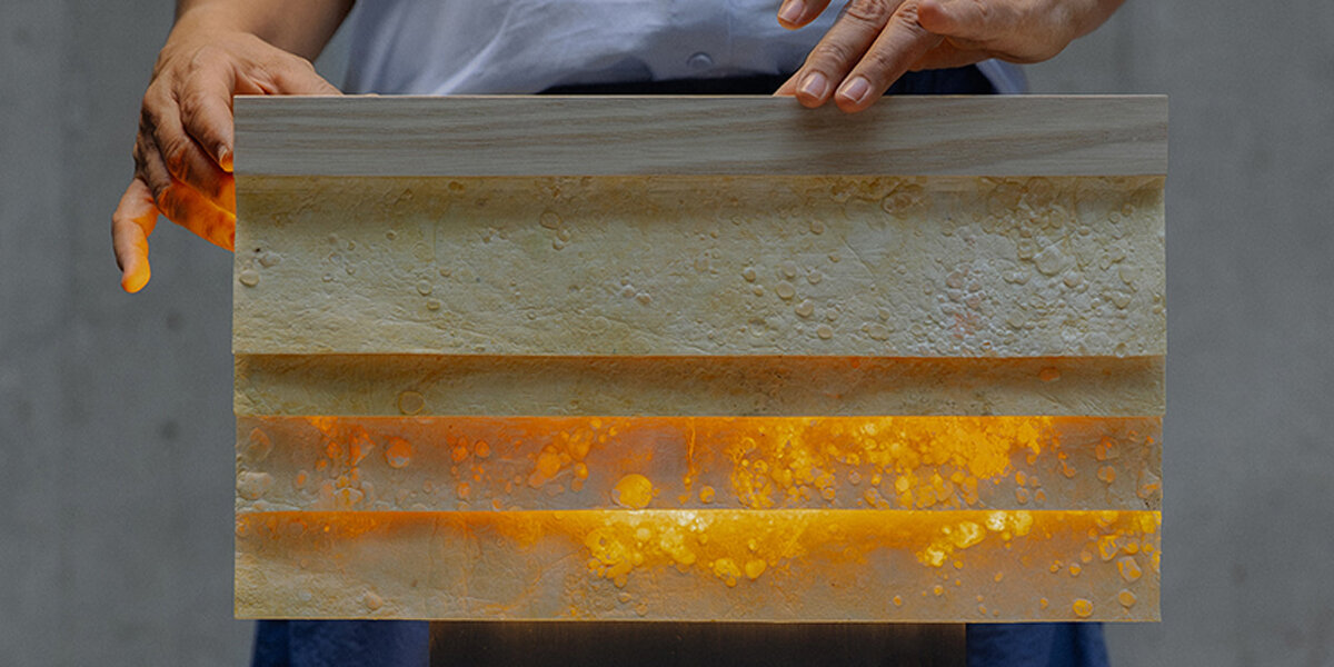 세닛 조명 컬렉션