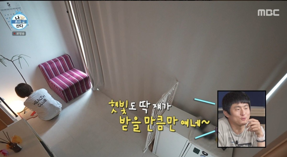 커튼을 조금만 열어 반려식물에게 햇빛을 들이는 모습