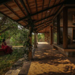 Saffron Verandah House exterior view through the mango orchard