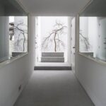 중정 나무를 정면에 둔 Framing House 통로 세로 컷