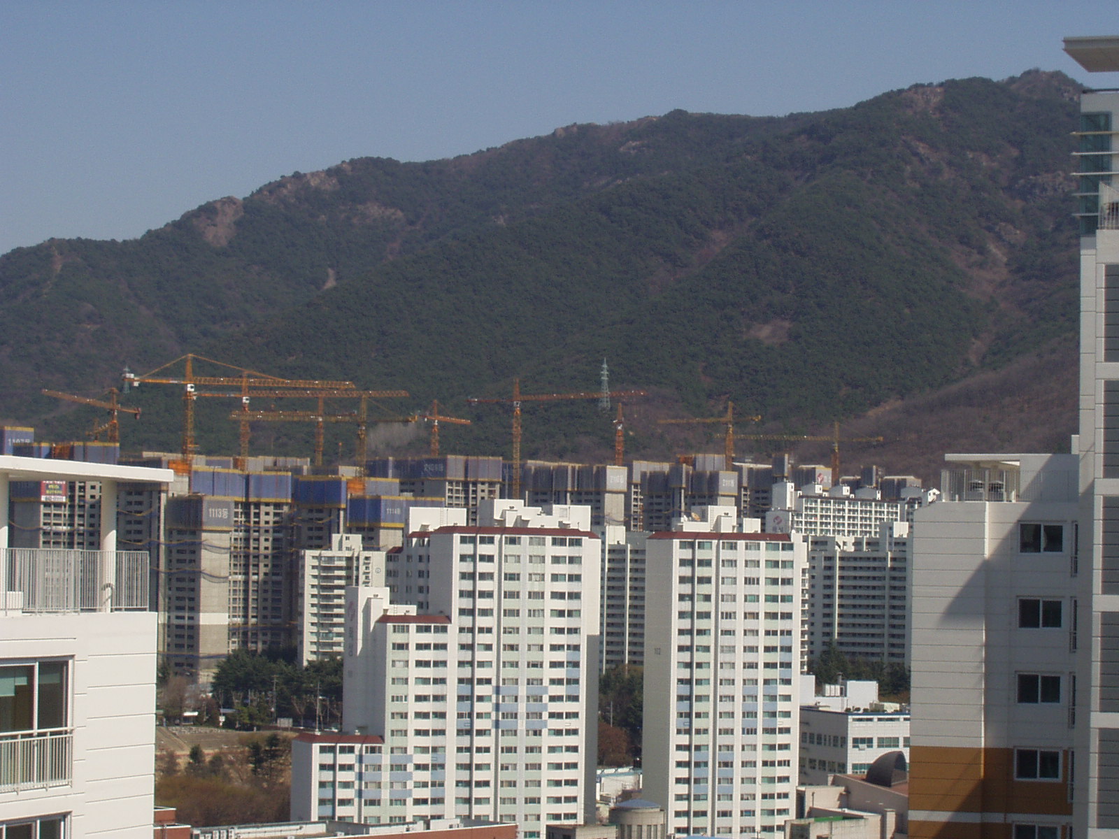 타워크레인이 늘어선 국내 아파트 건설 현장 자료 사진