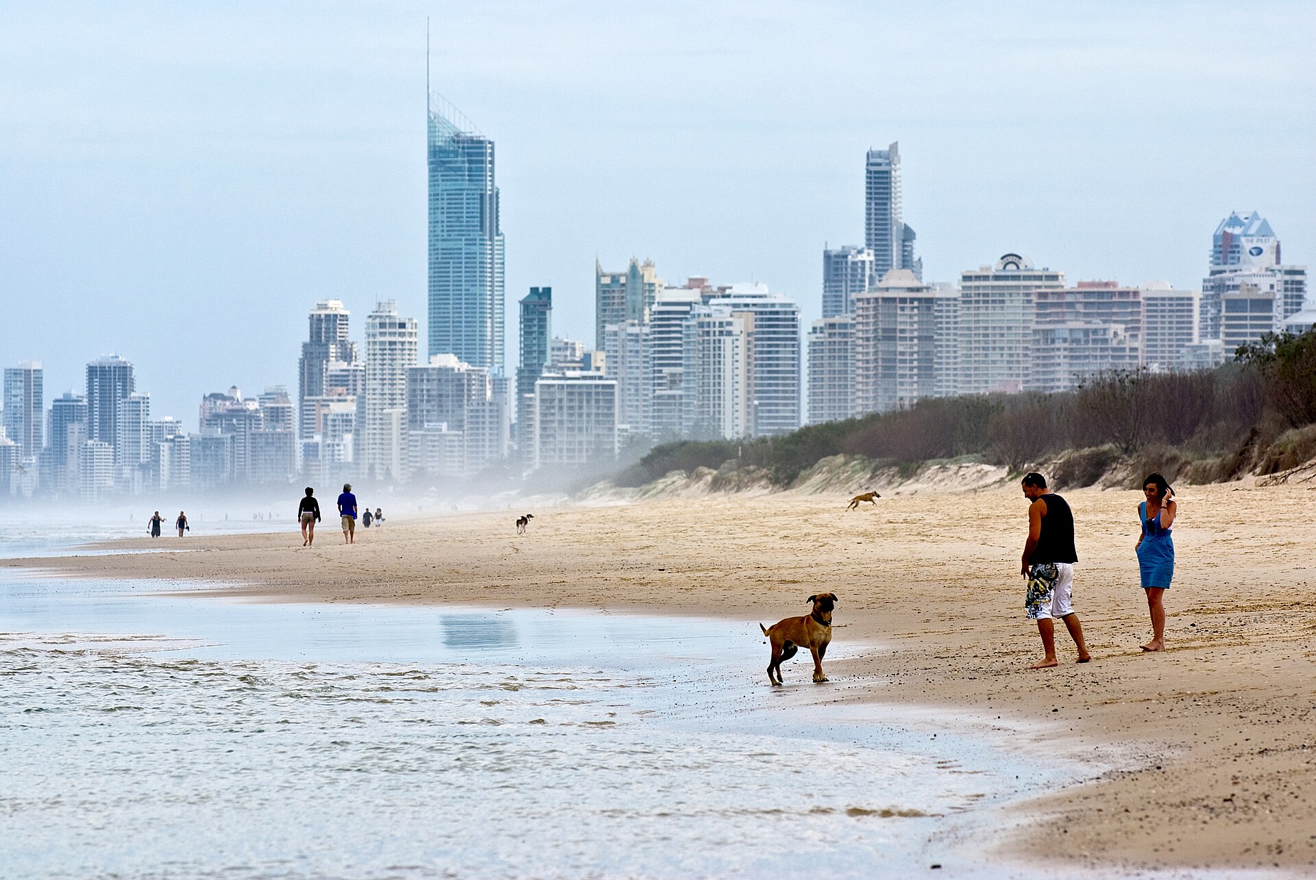 고층 건물이 늘어선 호주 Gold Coast 해변 풍경, 참고 이미지