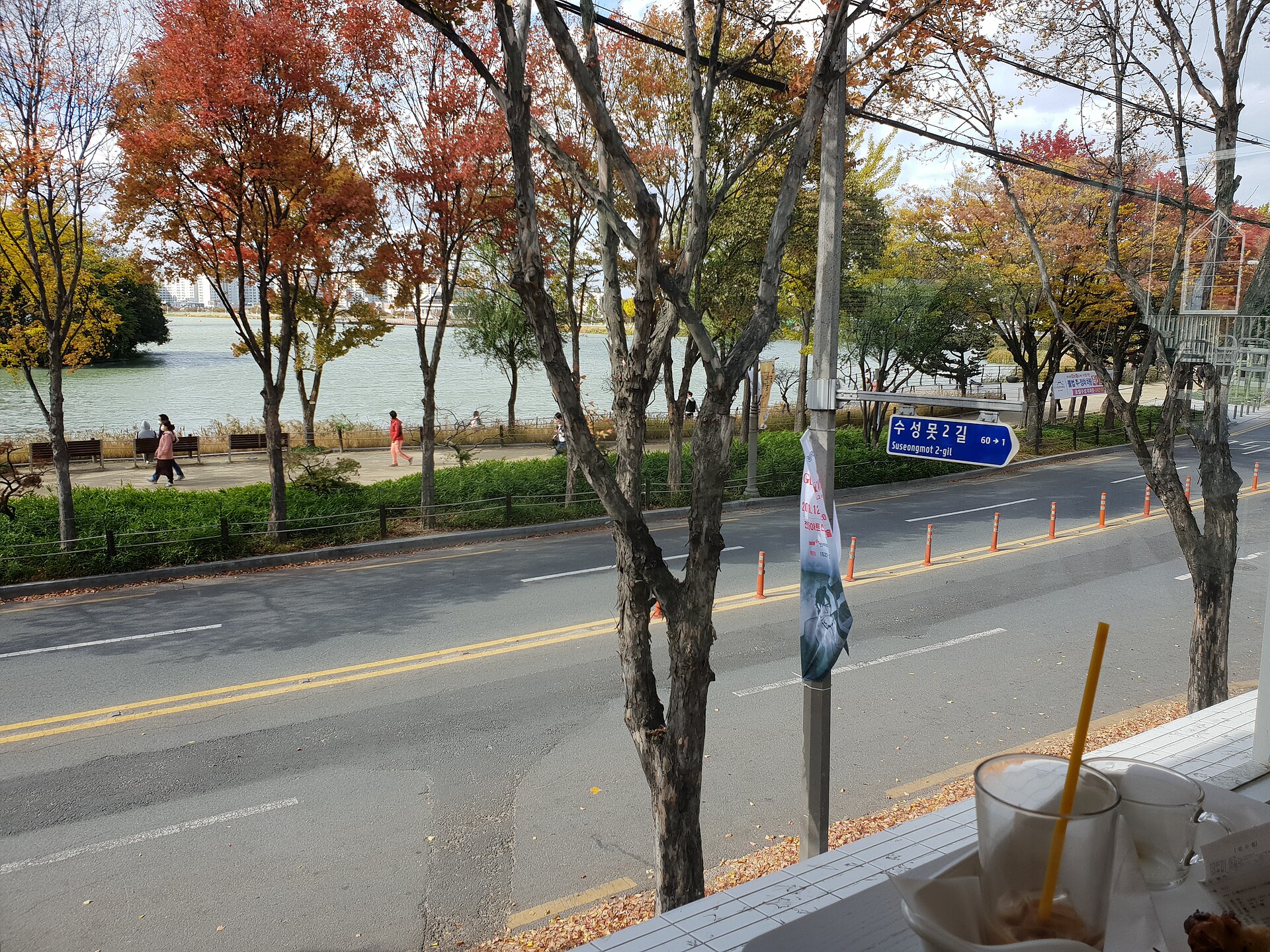 수성국제비엔날레가 열리는 대구 수성못 일대 풍경