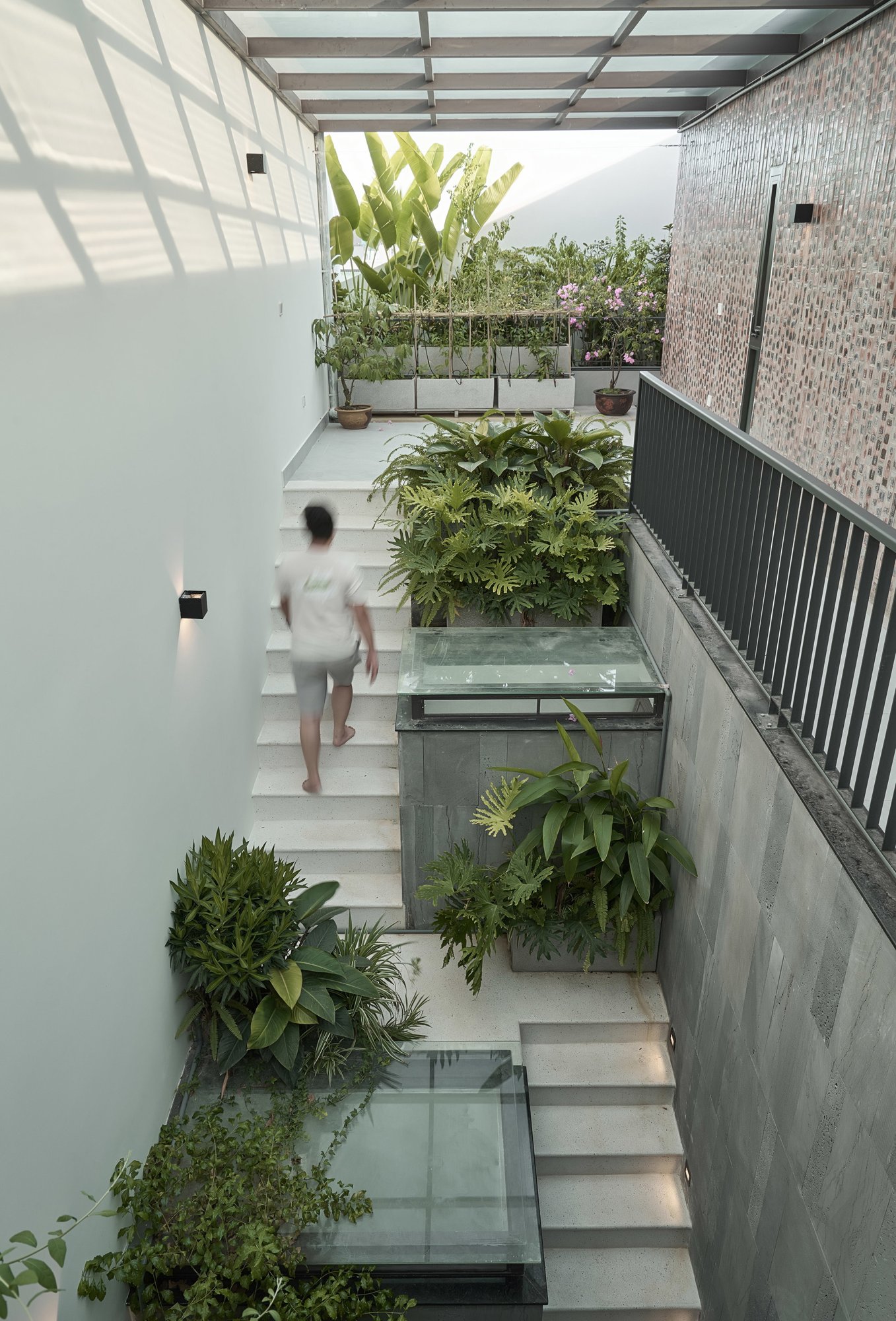 식물 화분 사이로 옥상까지 이어지는 PAMA House 계단