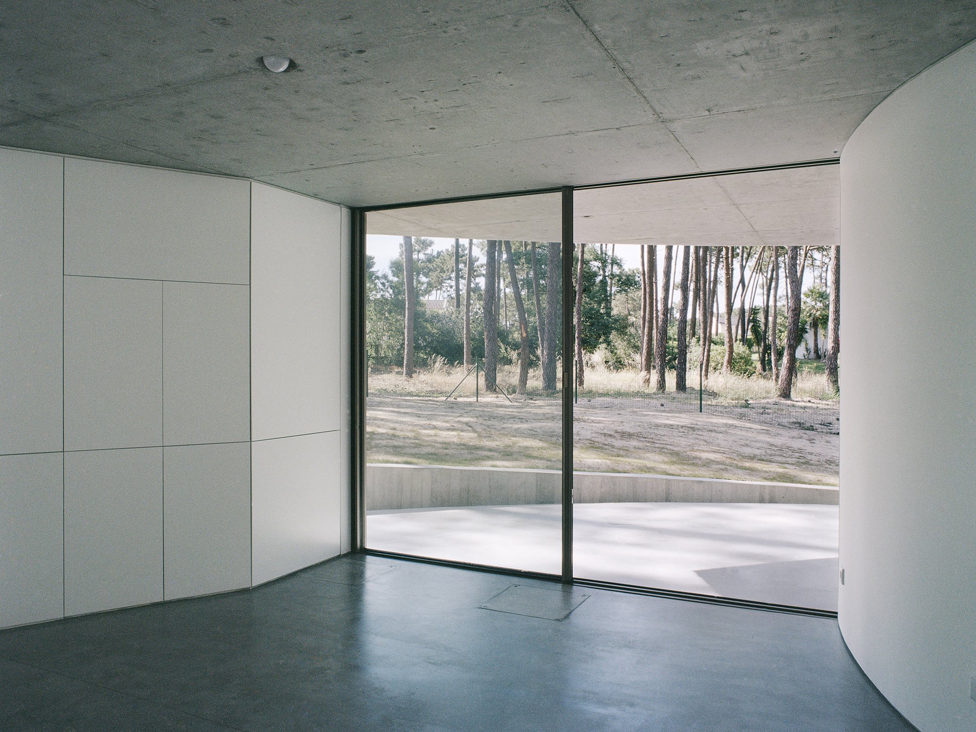 통유리 너머 소나무 숲이 보이는 Trefoil House 거실