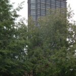 나무 너머로 보이는 U.S. Steel Tower 상부