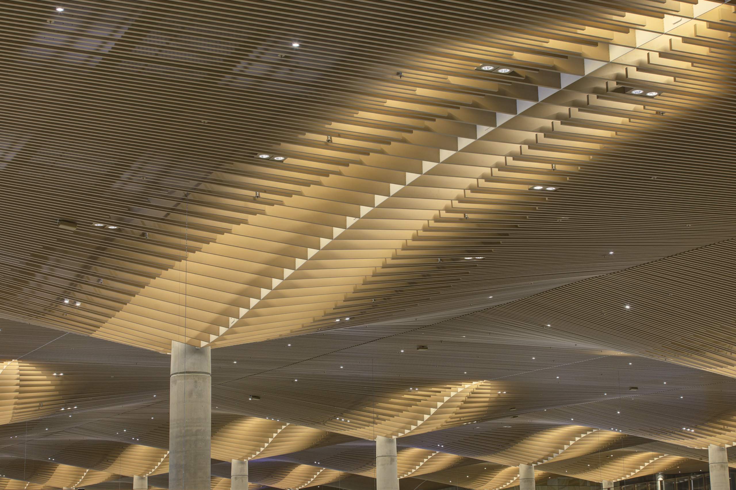 유칼립투스 껍질을 닮은 Western Sydney International Airport 터미널의 목재 천장